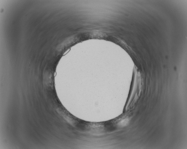 X0000080120619200701051356