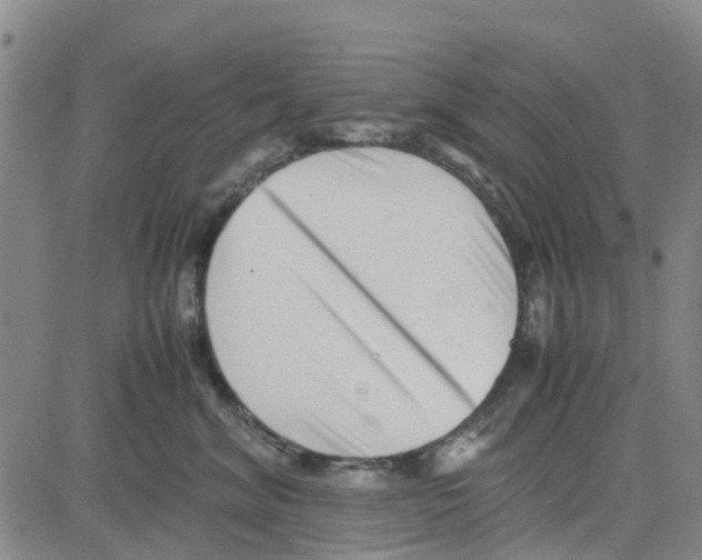 X0000080120620200701051356