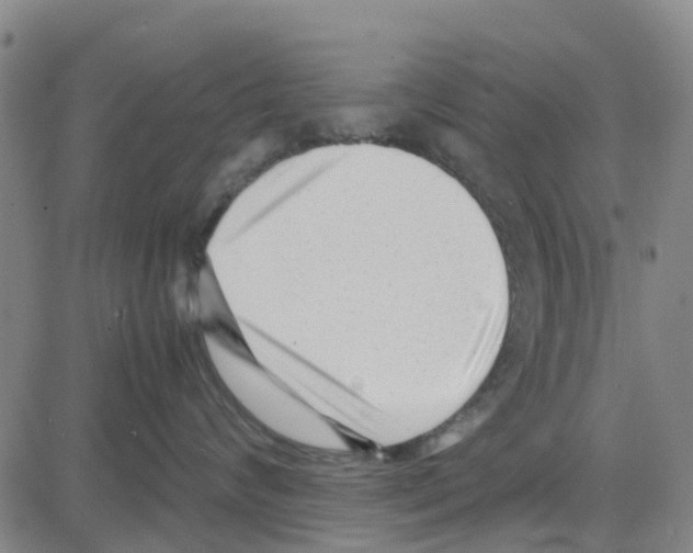 X0000080120624200701051356