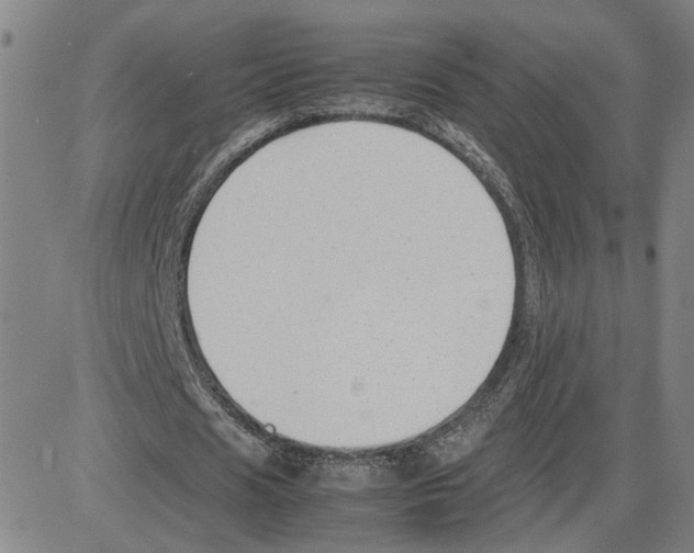 X0000080120625200701051355