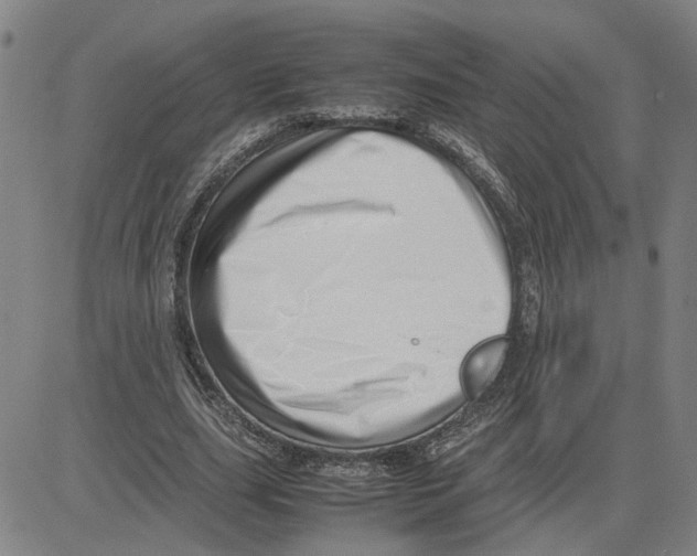 X0000080120631200701051355