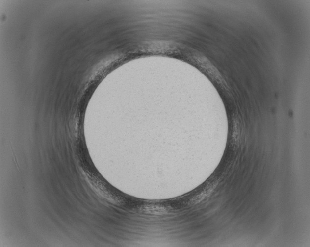 X0000080120636200701051355