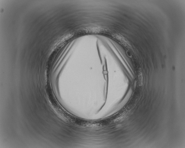X0000080120638200701051355