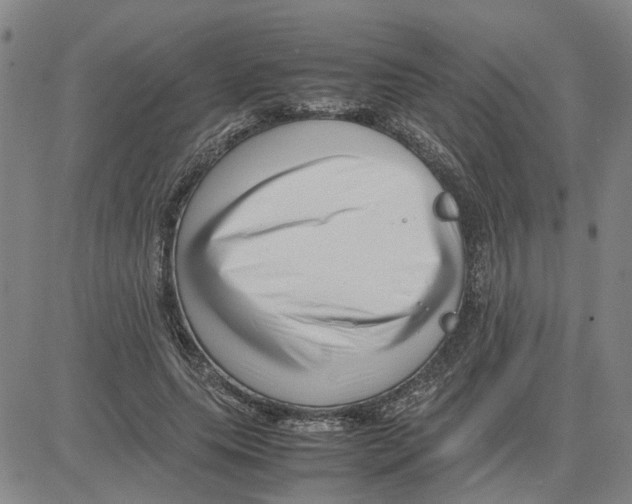 X0000080120639200701051355