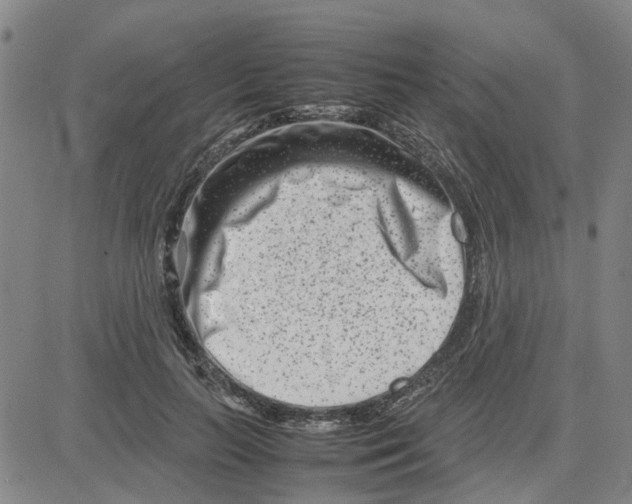 X0000080120647200701051355