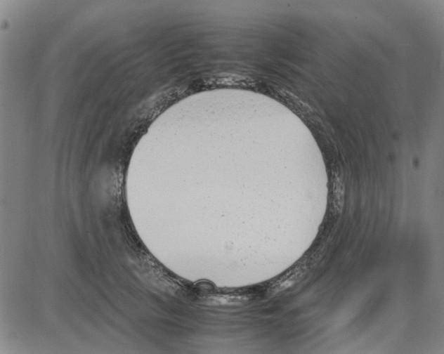 X0000080120657200701051355