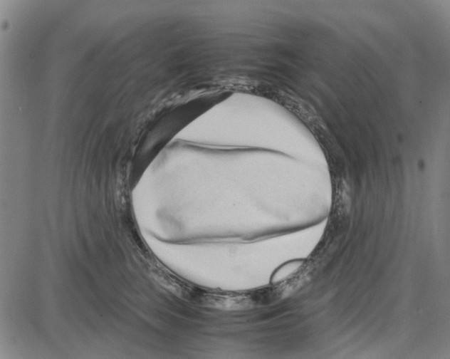 X0000080120663200701051356