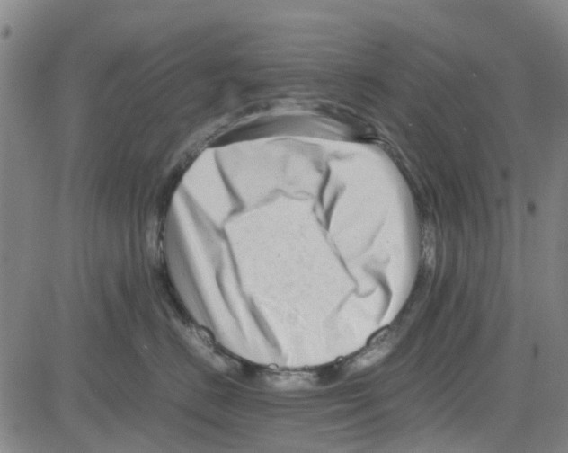 X0000080120670200701051356