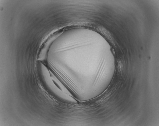 X0000080120676200701051355