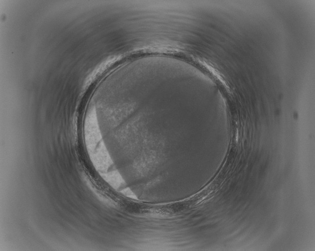 X0000080120678200701051355