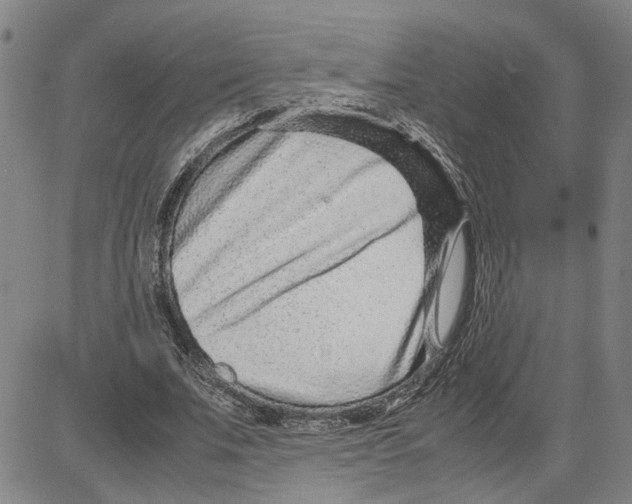 X0000080120679200701051355