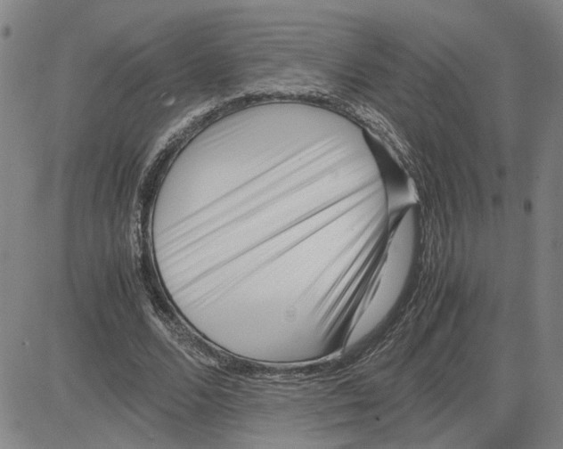 X0000080120680200701051355