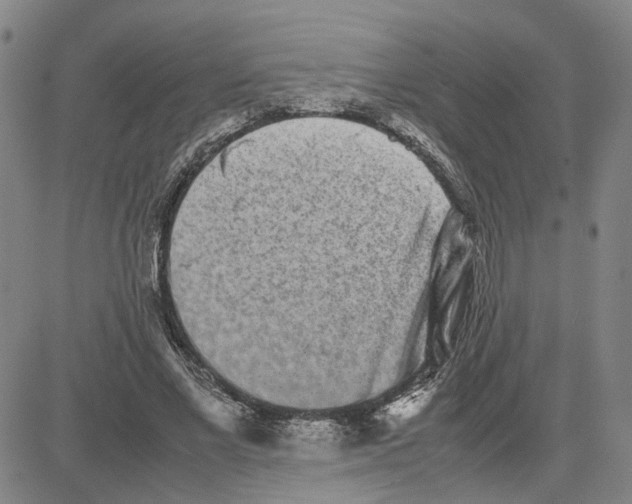 X0000080120685200701051355