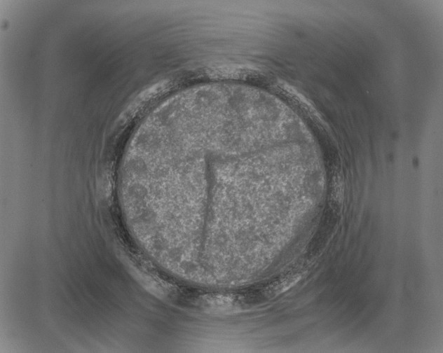 X0000080120687200701051355