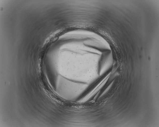 X0000080120688200701051355