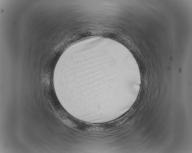 X0000080120691200701051355