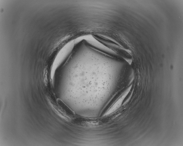 X0000080120692200701051355