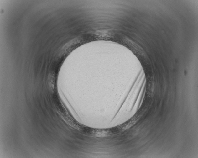 X0000080120710200701051354