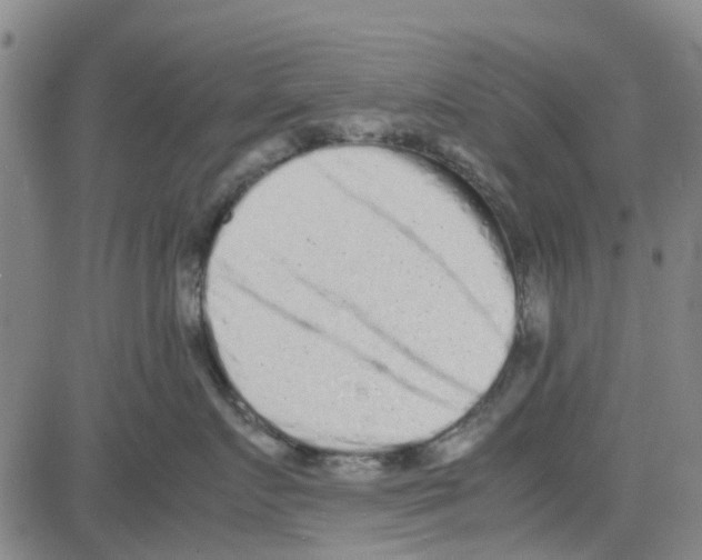 X0000080120719200701051354