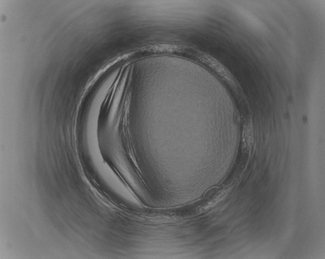 X0000080120722200701051353