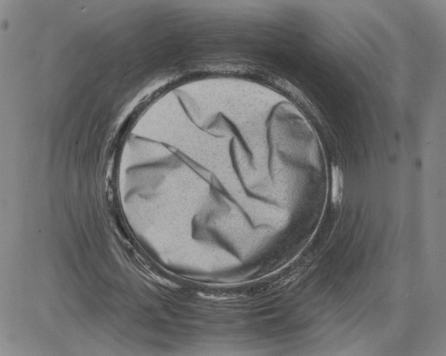 X0000080120723200701051353