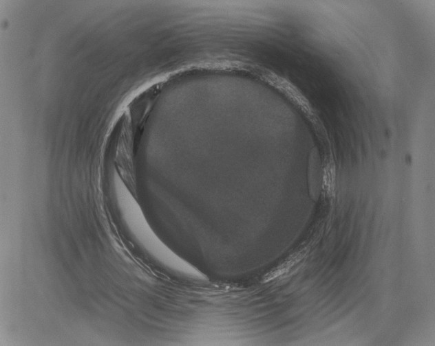X0000080120724200701051353