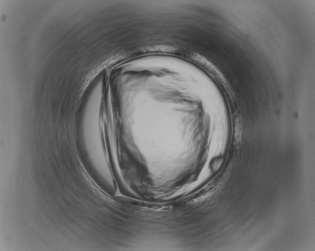 X0000080120725200701051353