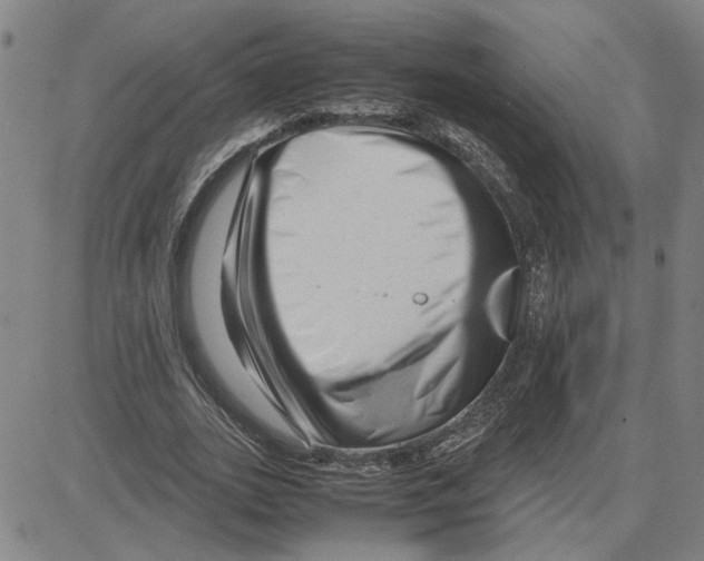 X0000080120727200701051353