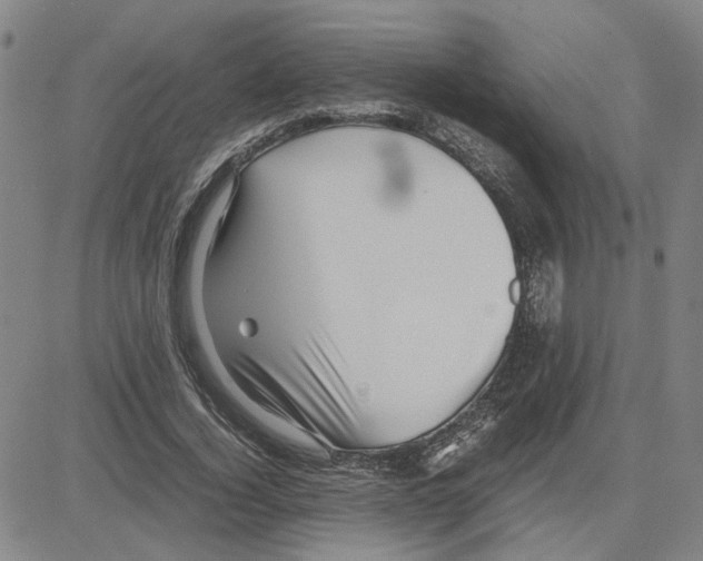 X0000080120732200701051354