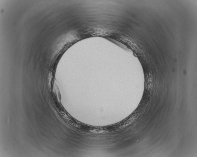 X0000080120742200701051354