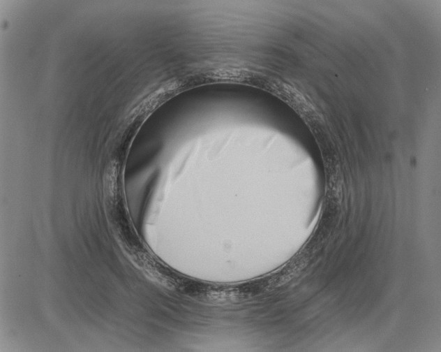 X0000080120744200701051354
