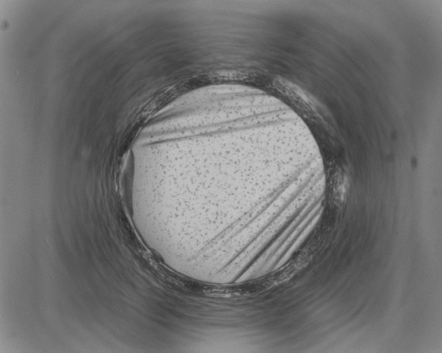 X0000080120746200701051354