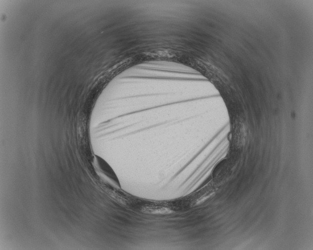 X0000080120747200701051354