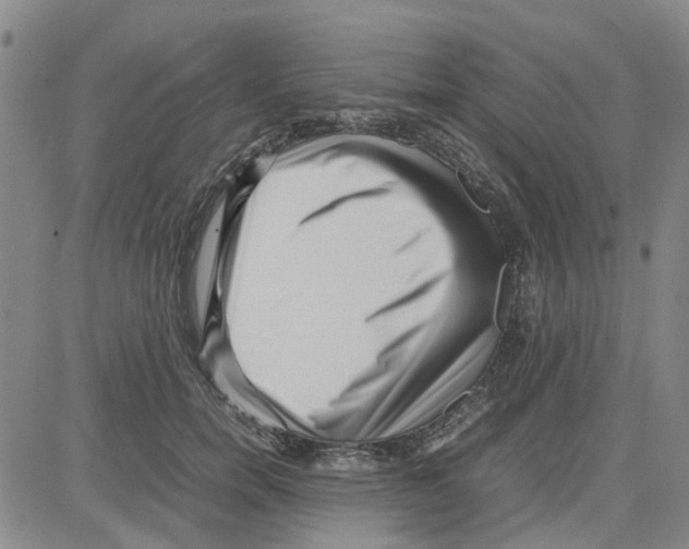 X0000080120750200701051354