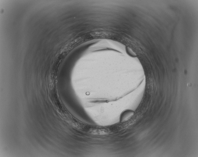 X0000080120751200701051354