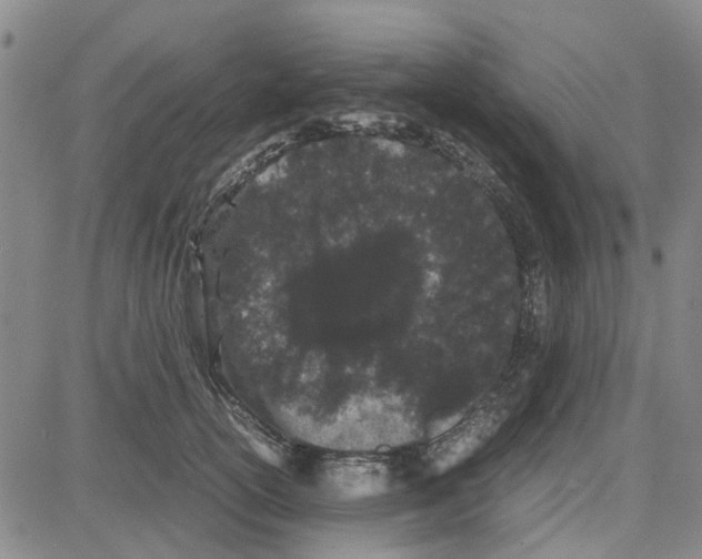 X0000080120754200701051354