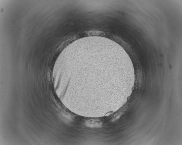 X0000080120761200701051354