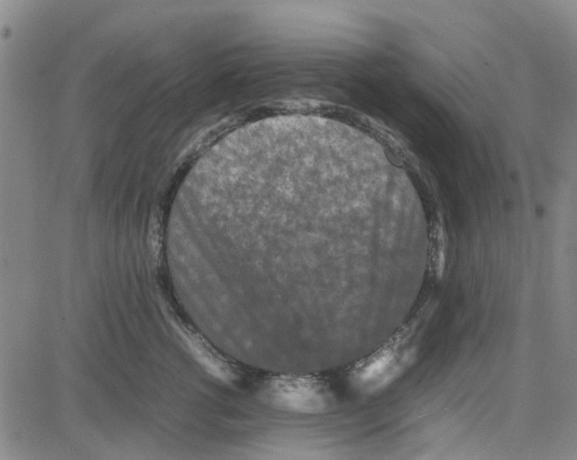 X0000080120762200701051354