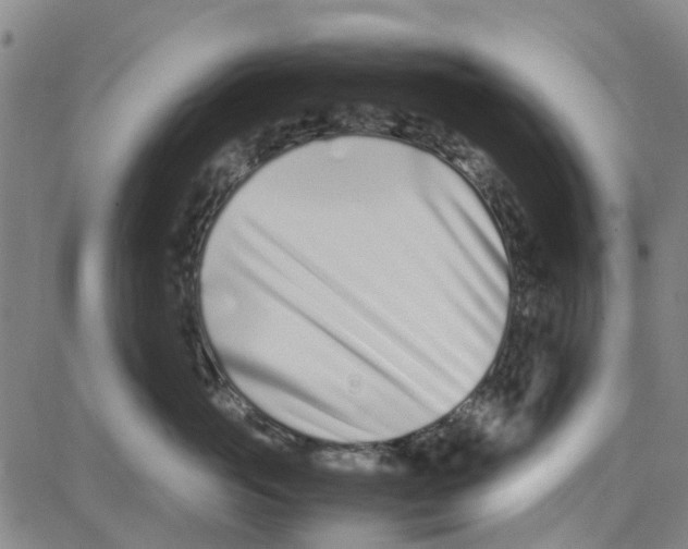 X0000080120765200701051354