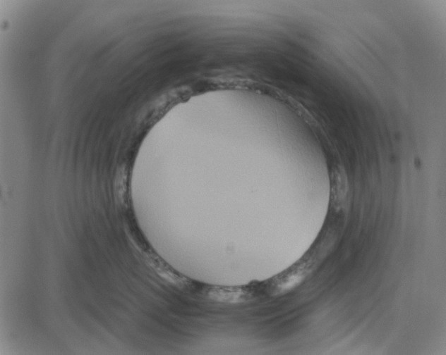 X0000080120767200701051354