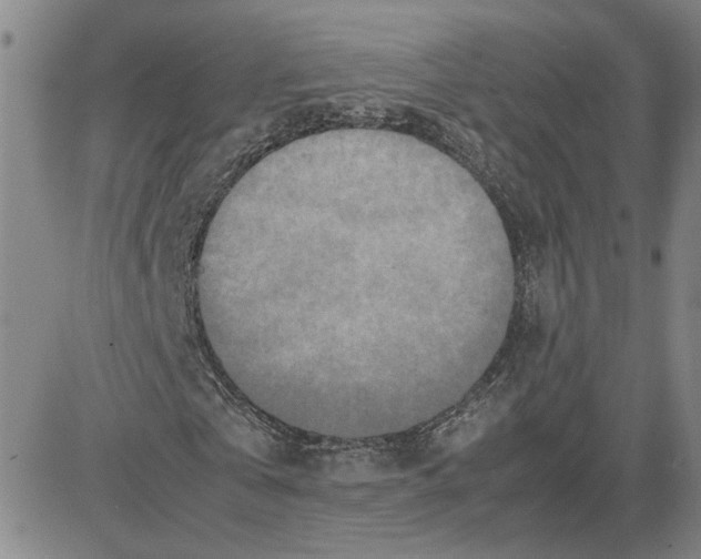 X0000080120769200701051353