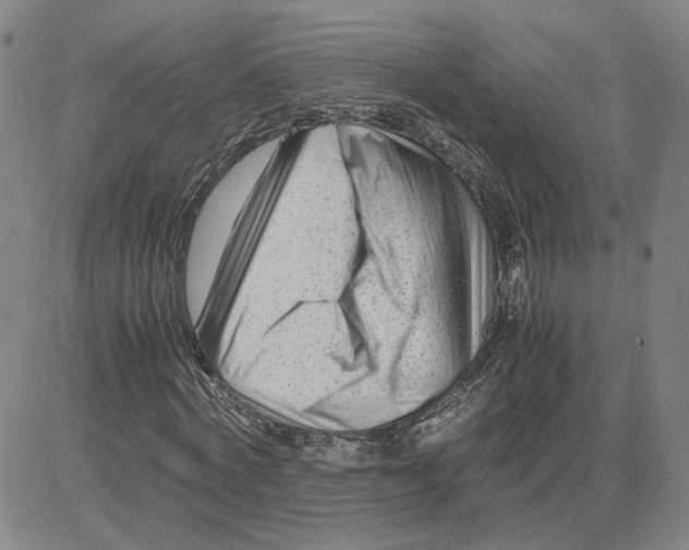 X0000080120772200701051353