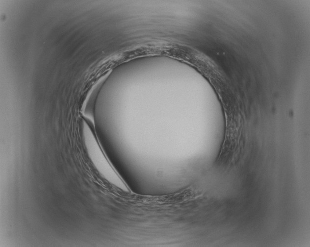 X0000080120773200701051353