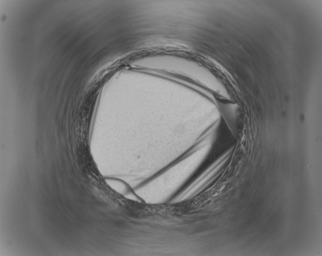 X0000080120775200701051353