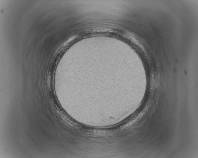 X0000080120777200701051353