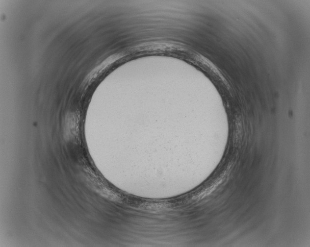 X0000080120778200701051353