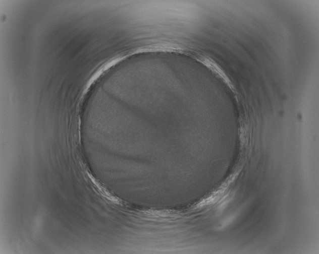 X0000080120781200701051353