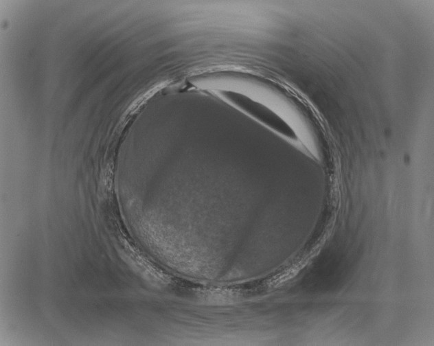 X0000080120785200701051353