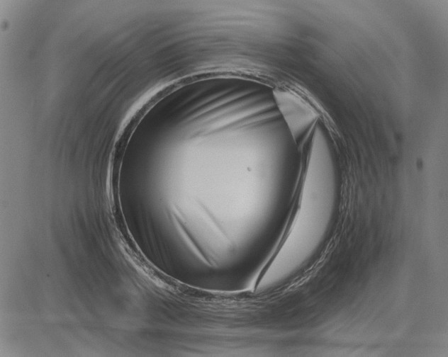 X0000080120788200701051353