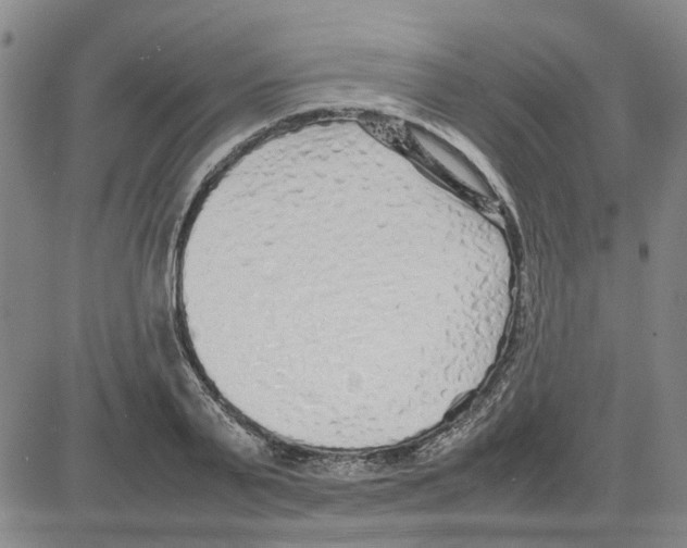 X0000080120791200701051353